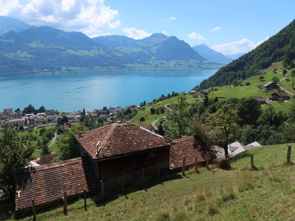 Vierwaldstättersee mit Buochserhorn