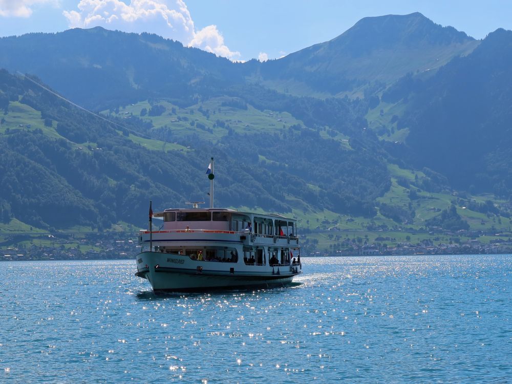 Passagierschiff und Buochserhorn