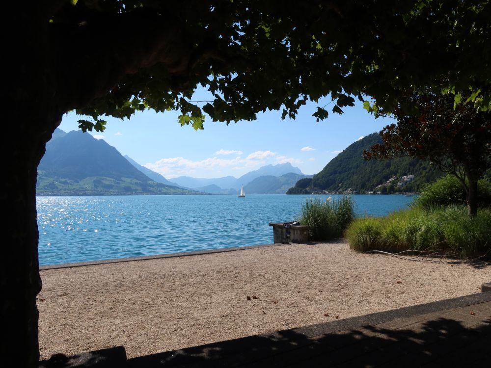 Vierwaldstättersee mit Pilatus