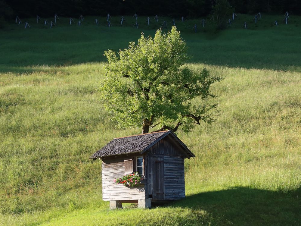 Holzhütte bei Plazera