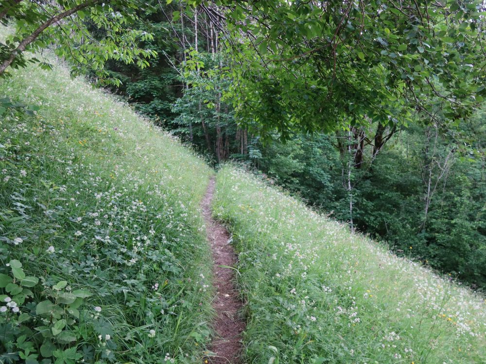 Wiesenpfad nach Marul