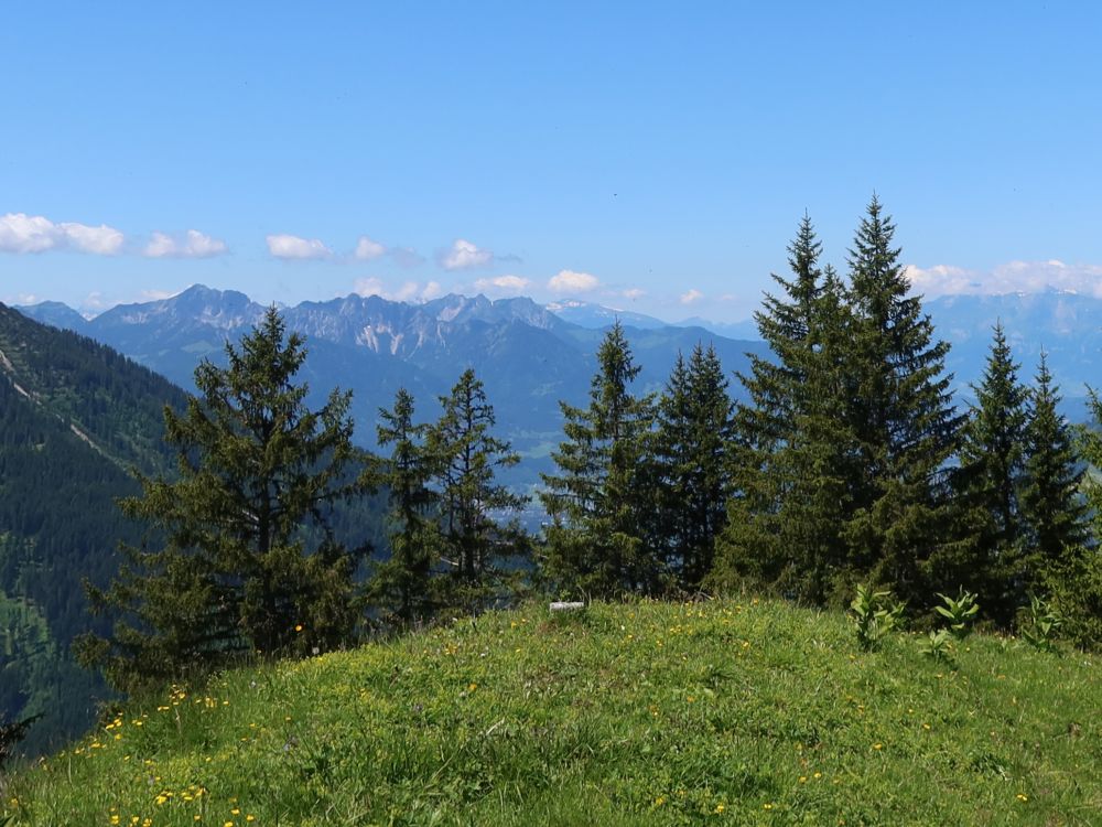 Schweizer Alpen vom Gipfel des Guggernülli