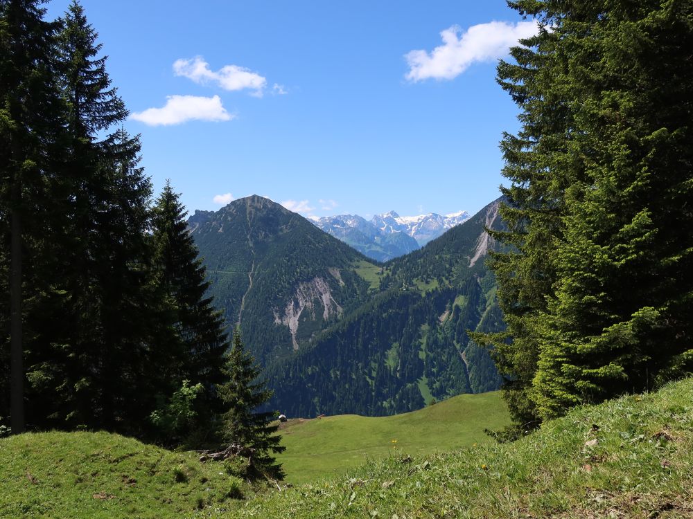 Breithorn und Schesaplana im Hintergrund