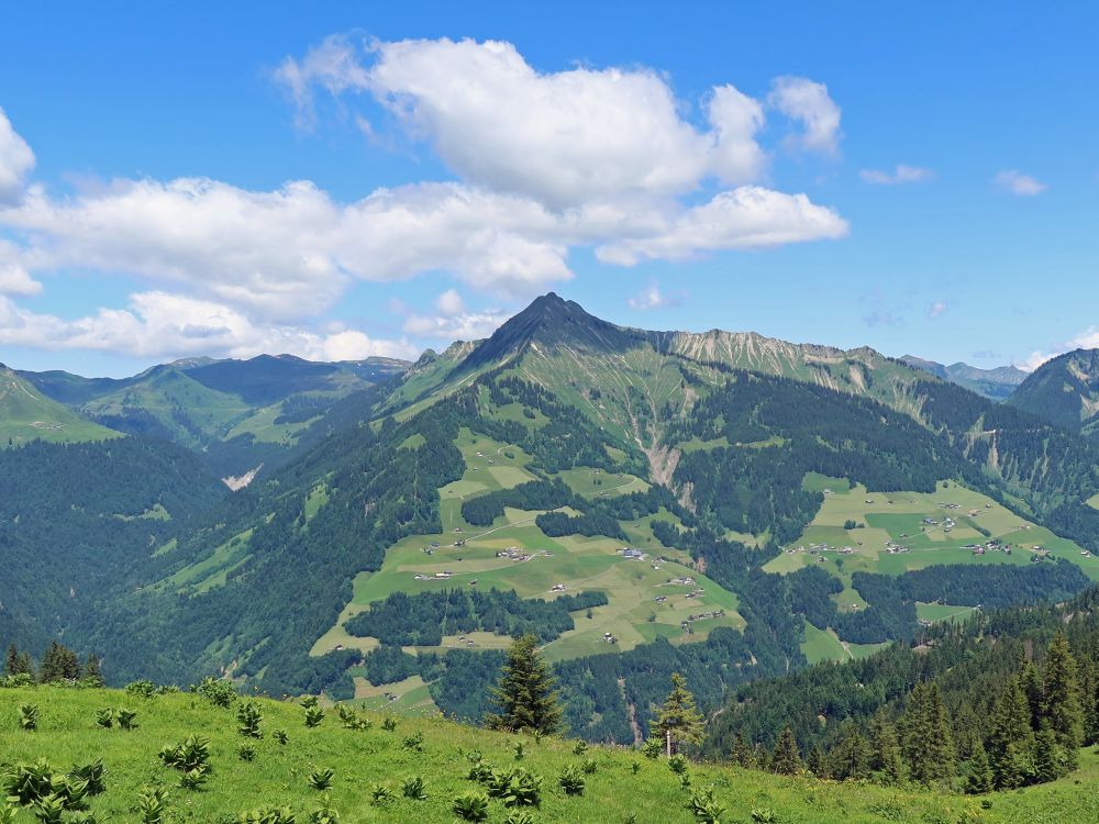 Wolke überm Türtschhorn