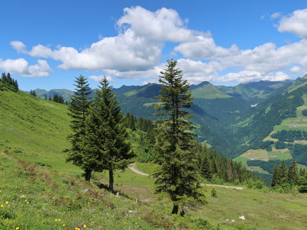 Grosswalsertal