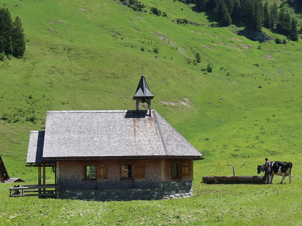 Kapelle mit Kuh