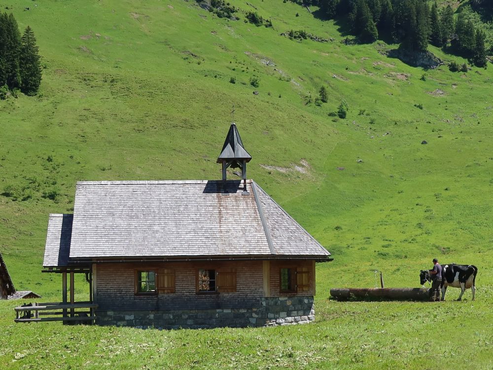 Kapelle mit Kuh