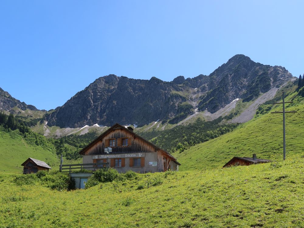 Kellaspitze über Alpe Steris