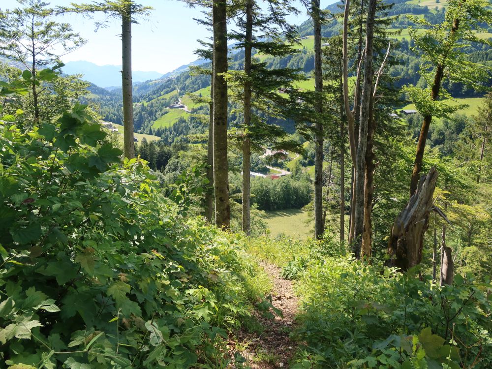 Abstieg nach Garsella (Käseweg)