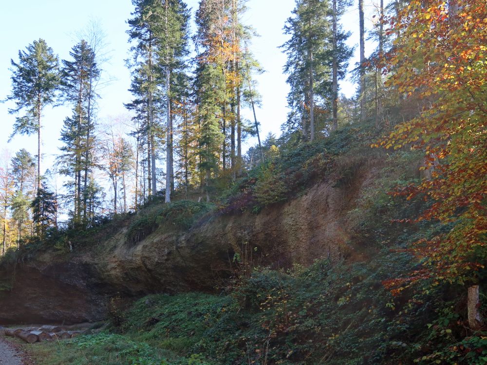 Felswand am Lettenweg