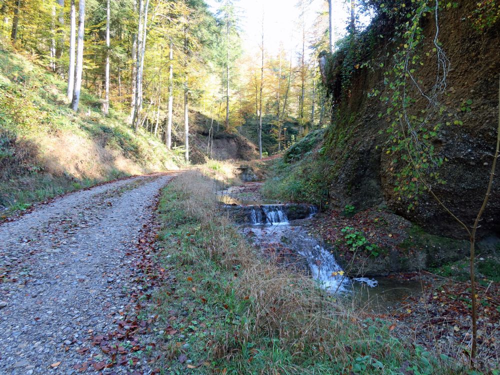 Lettenweg am Tobelbach