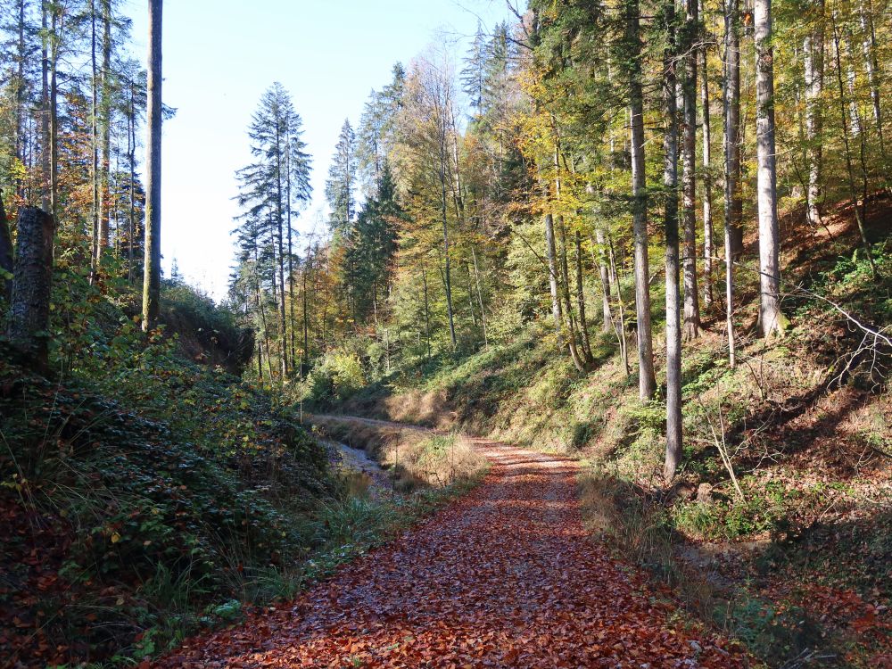 Lettenweg am Tobelbach