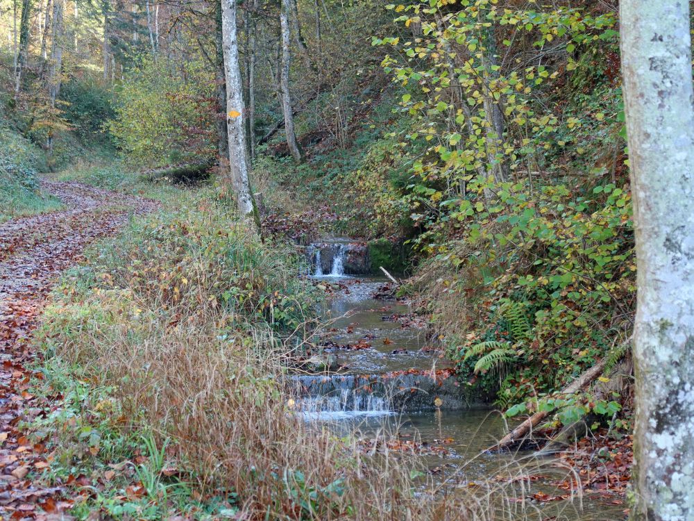 Lettenweg am Tobelbach