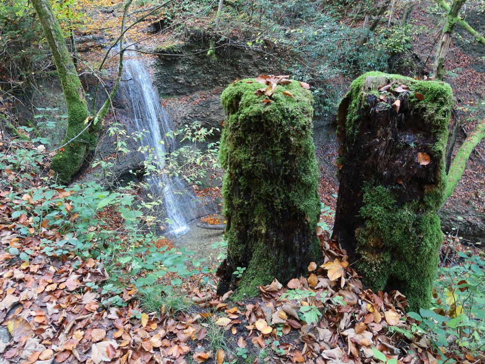 Wasserfall