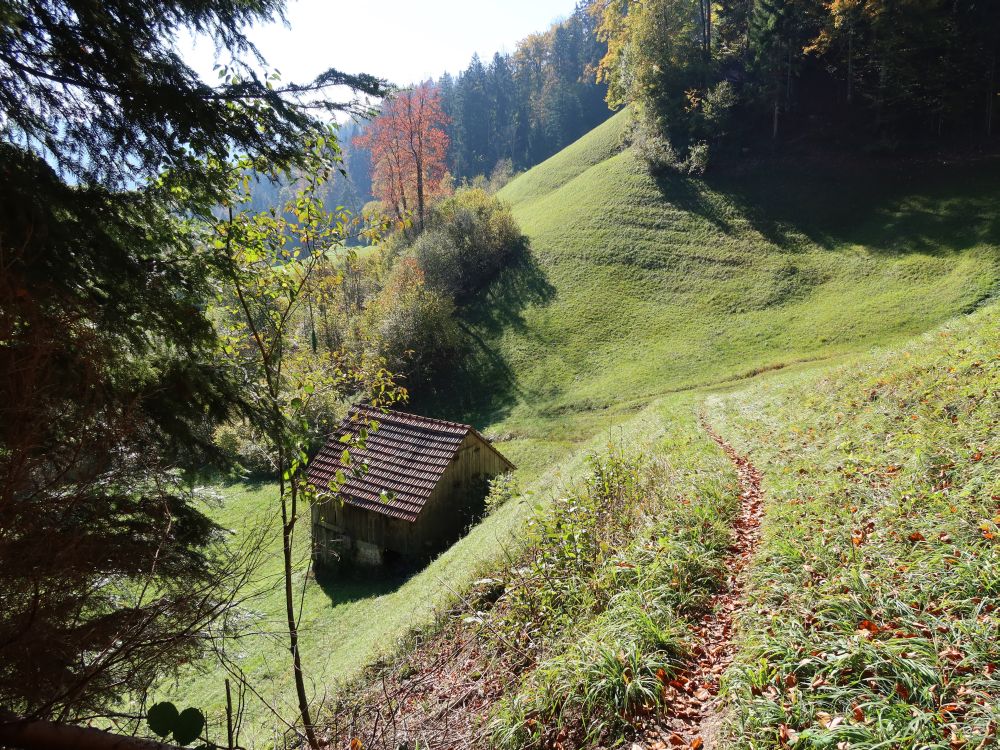 Wiesenpfad und Scheune