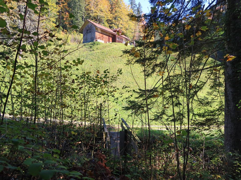 Holzsteg im Nideltobel