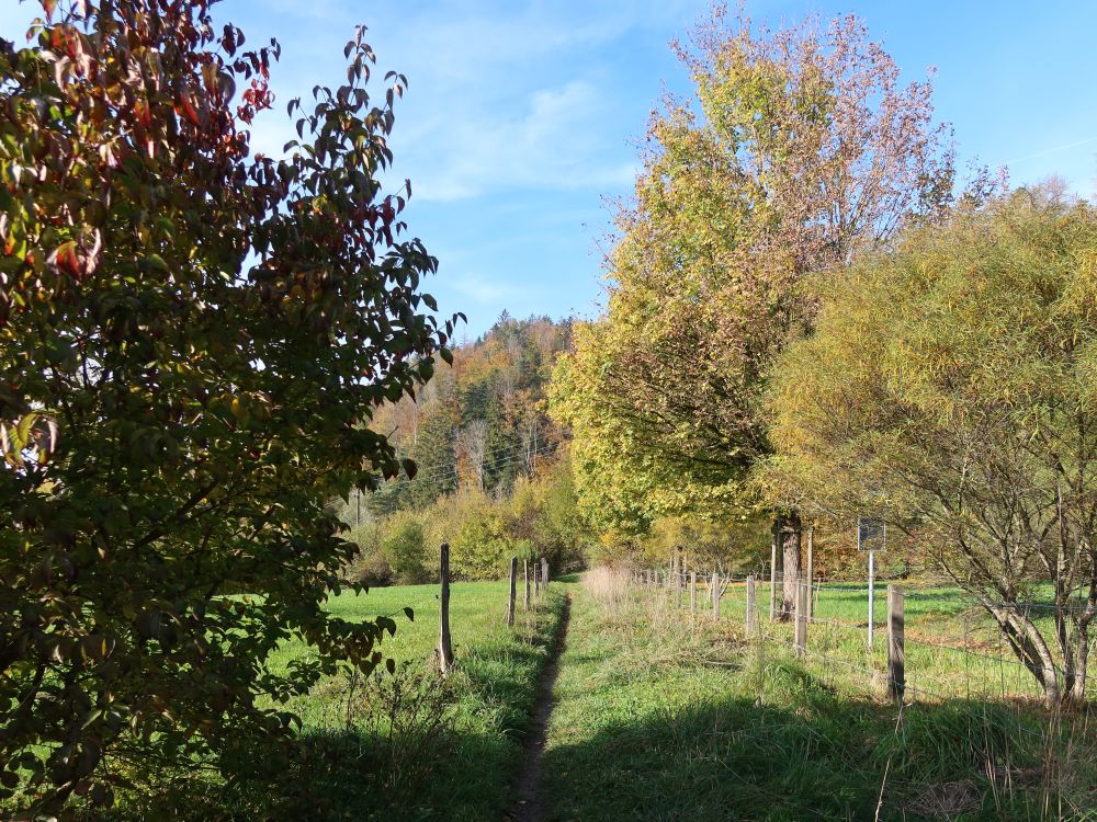 Pfad bei Boden