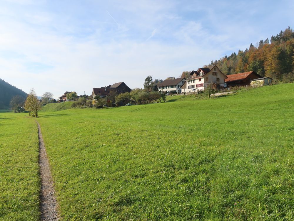 Pfad bei Wellenau