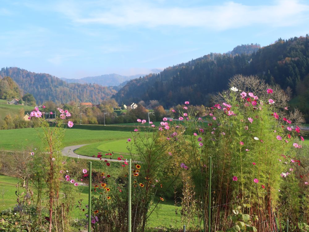 Blick ins Tösstal