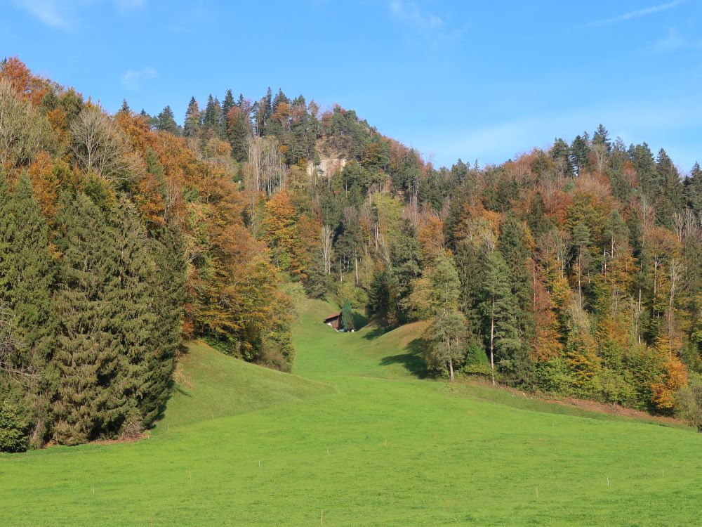 Herbstwald