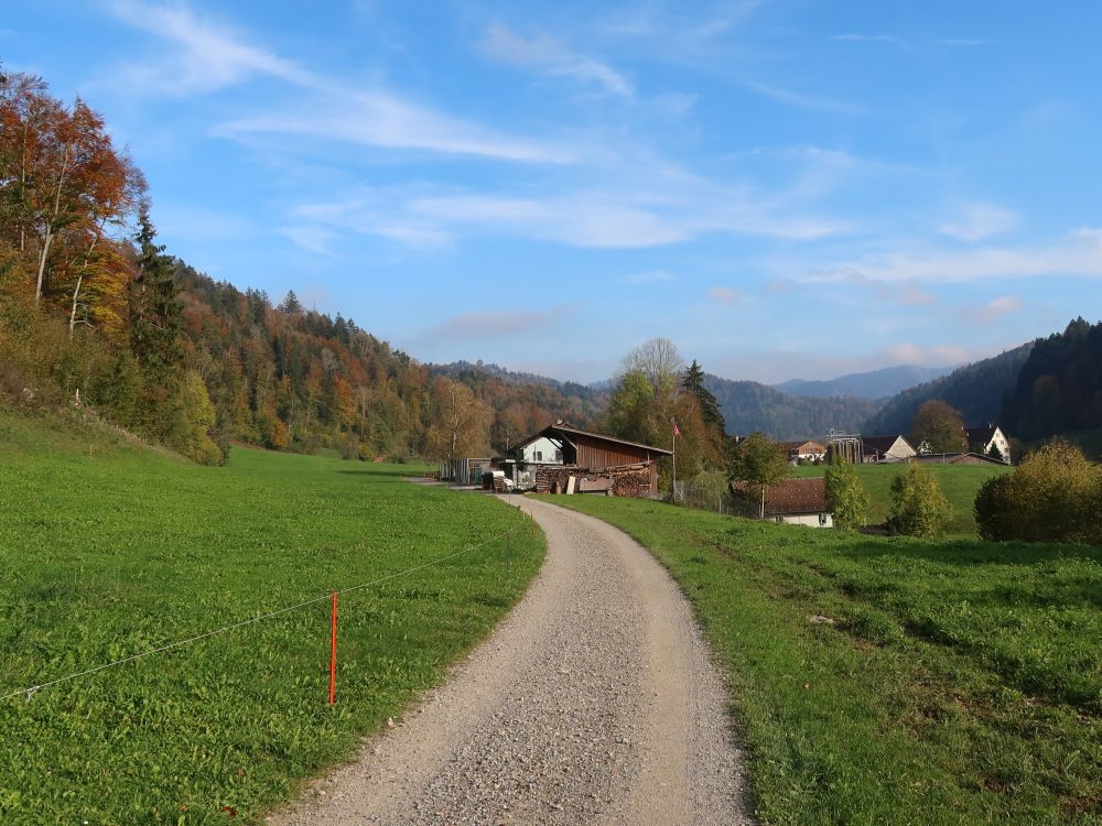 Bauernhöfe im Tösstal