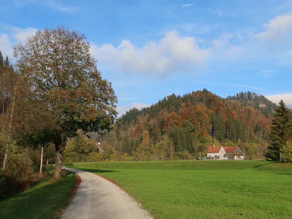 Tössuferweg