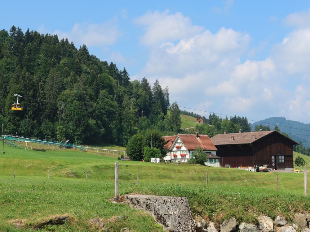 Bauernhof mit Rodelbahn und Seilbahn