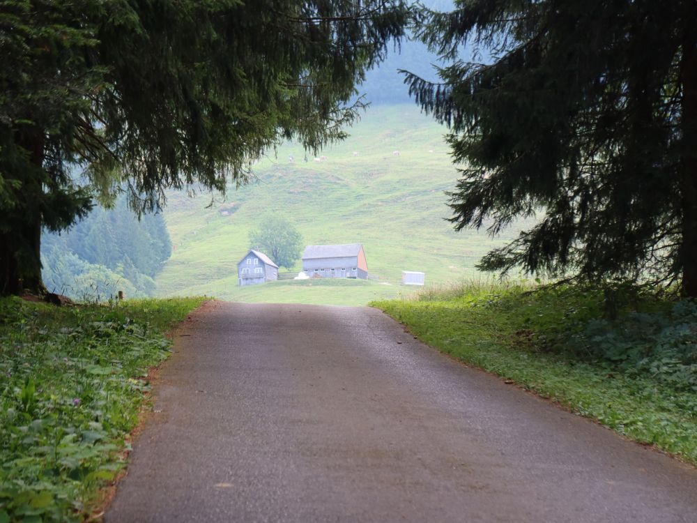 Bauernhof am Löchli