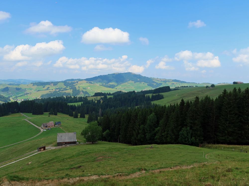 Blick Richtung Hundwiler Höhi