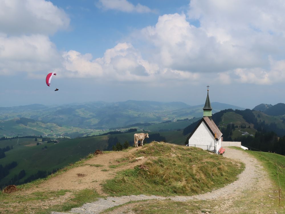 St. Jakob Kapelle mit Kuh und Gleitschirmflieger