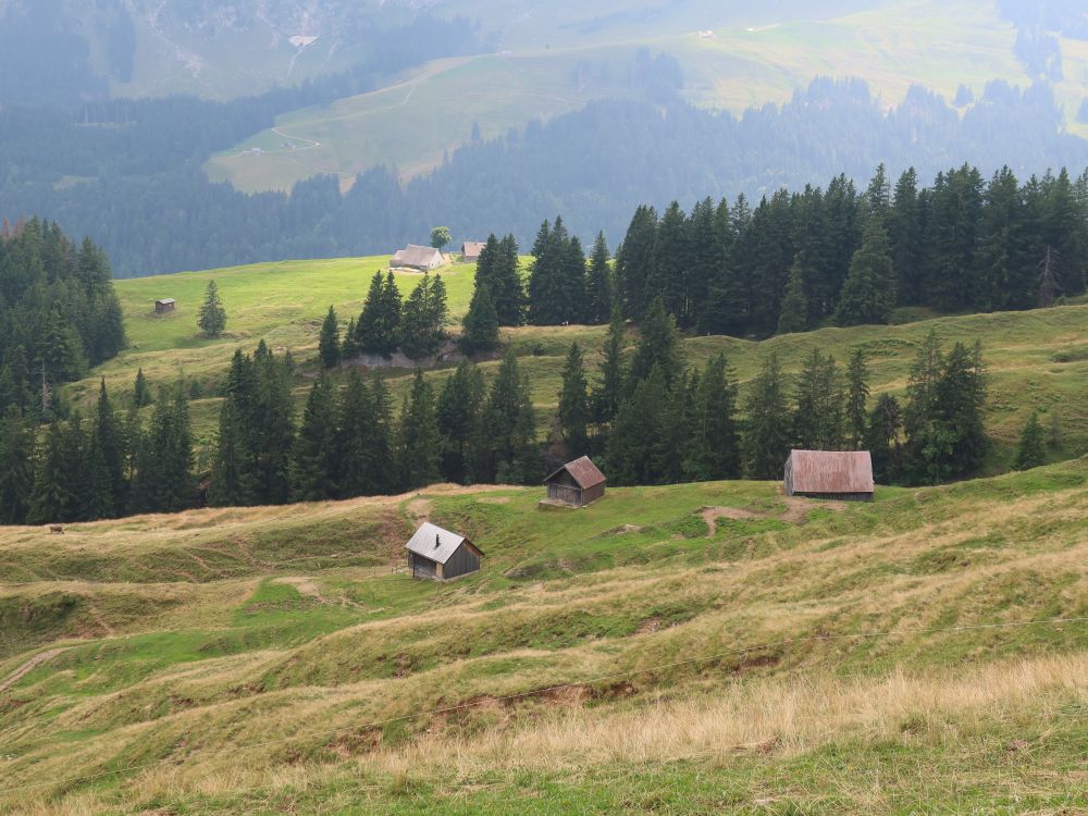 Scheunen am Südhang