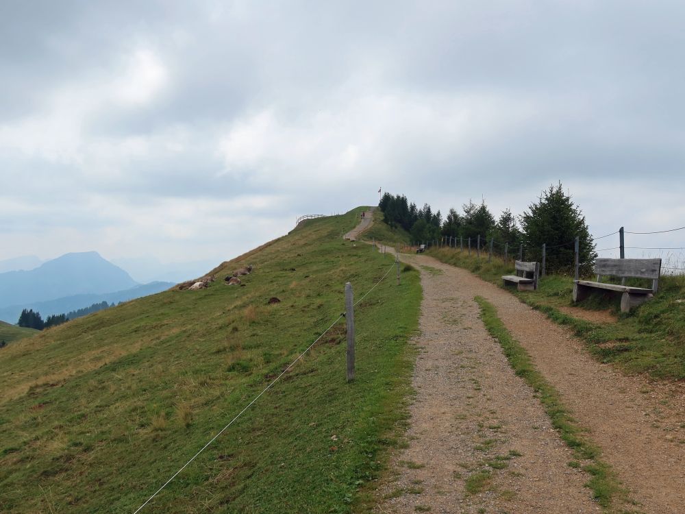 Gratweg zum Kronberg