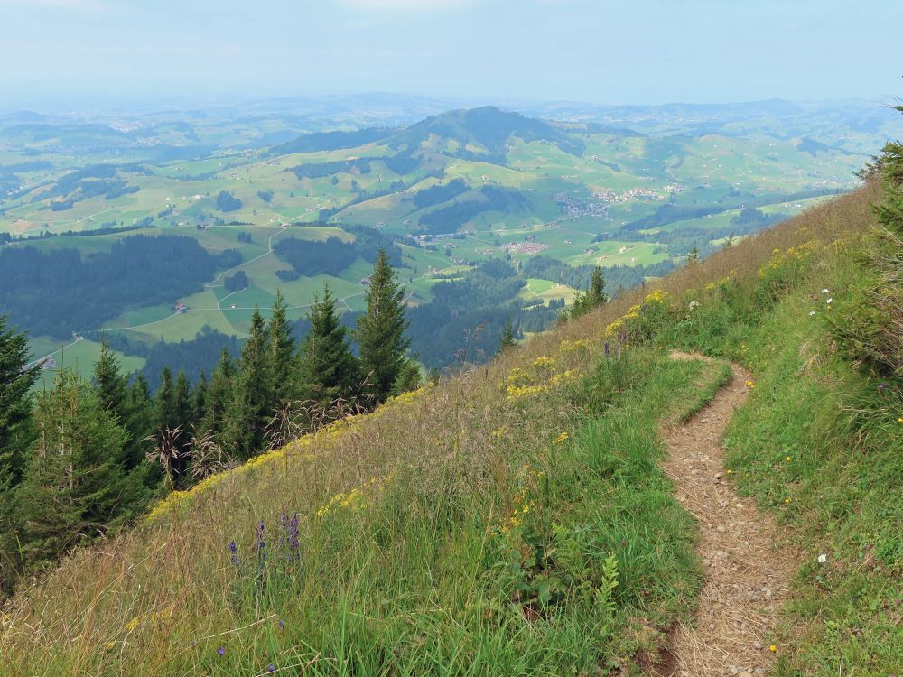 Pfad mit Blick zur Hundwiler Höhi