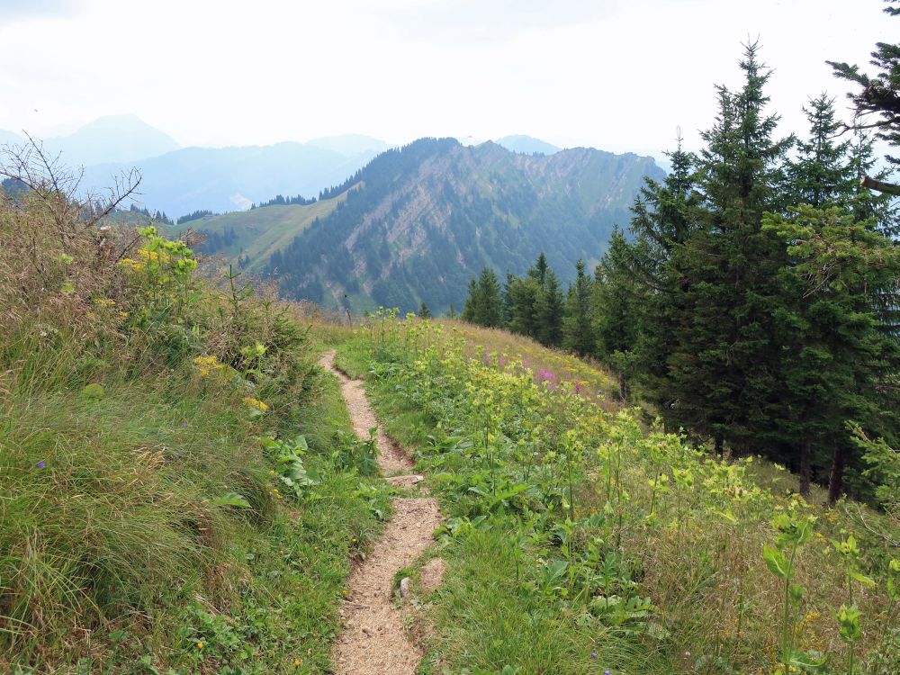 Blick Richtung Südwesten