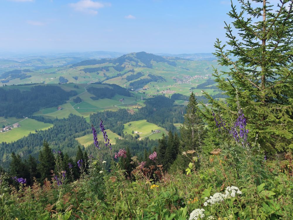 Gonten und Hundwiler Höhi