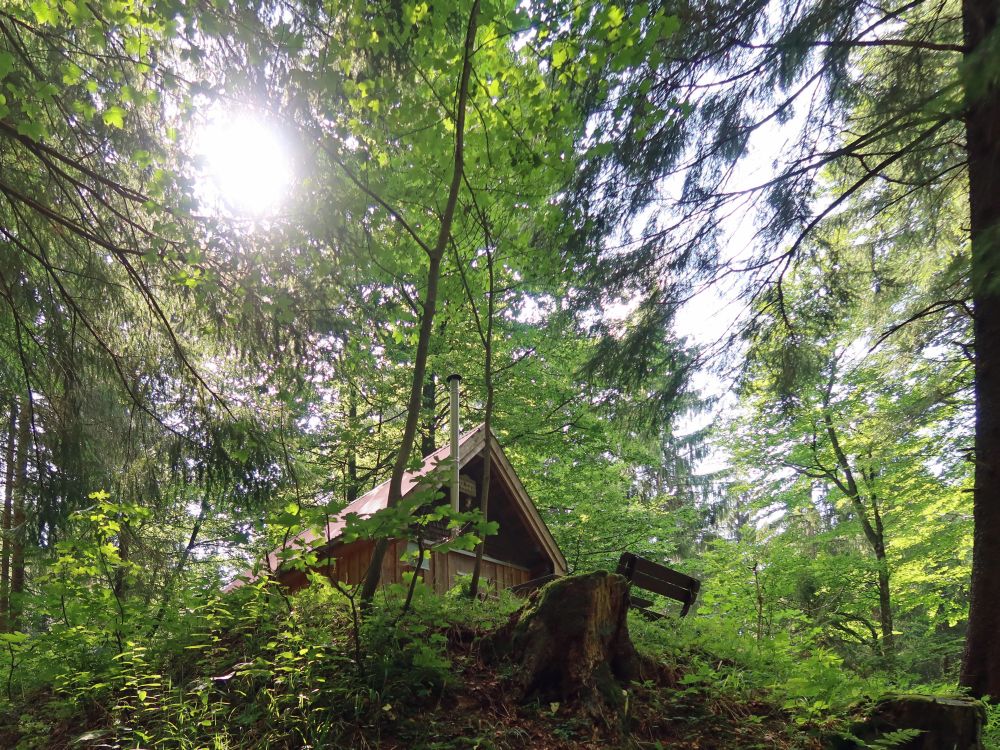 Bannhütte im Gegenlicht