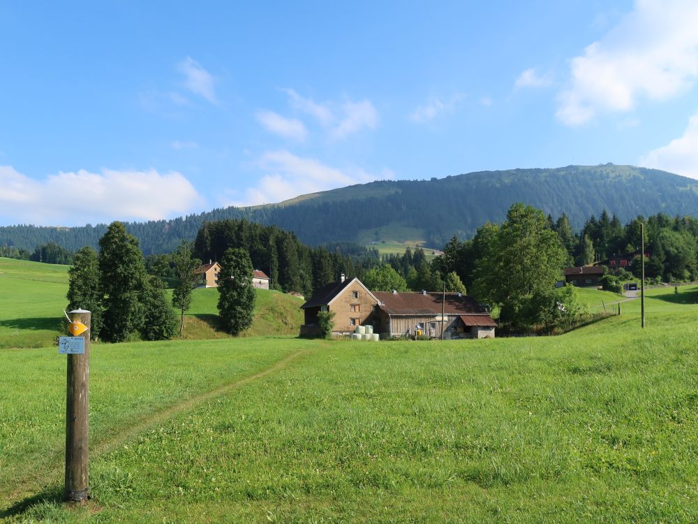 Bauernhof im Hinterwees