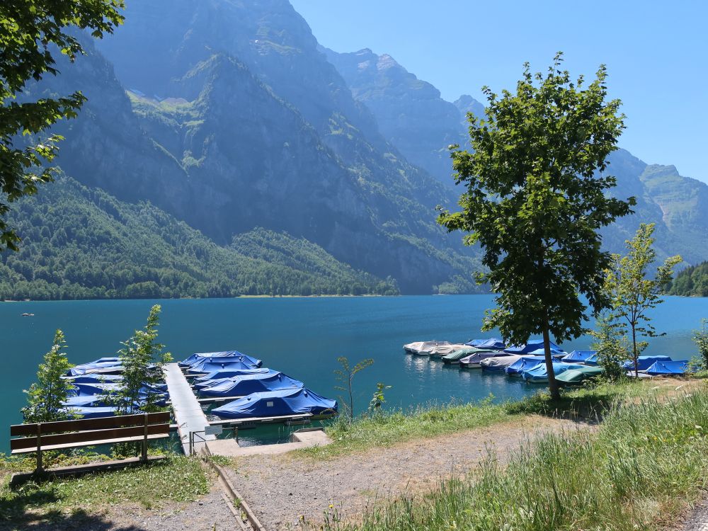 Bootsanlegestelle bei Seerüti