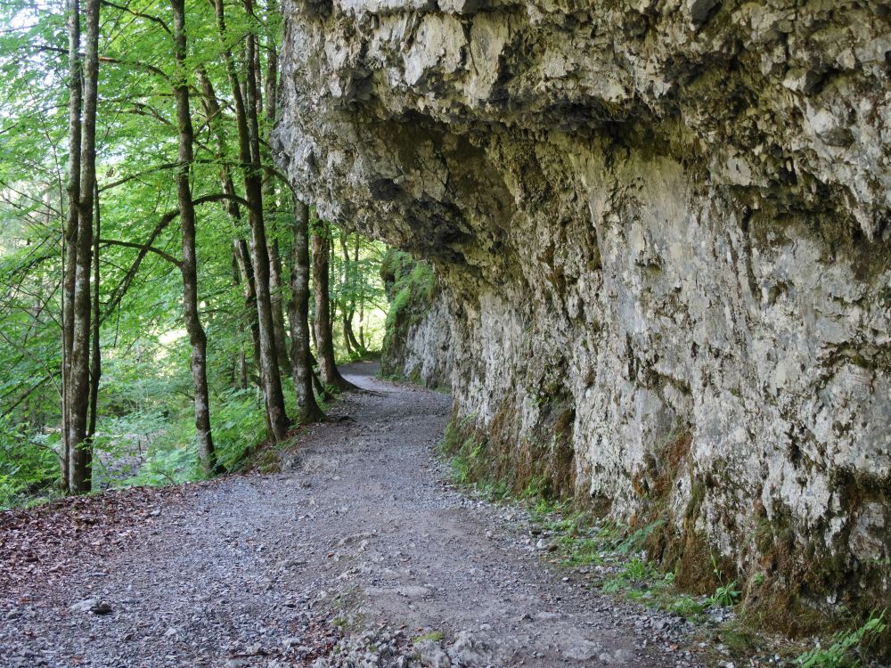 Weg unter einer Felswand