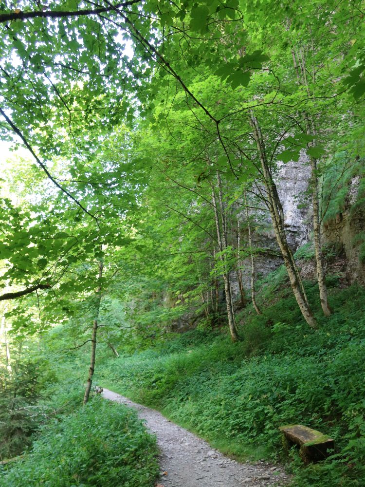 Weg entlang einer Felswand