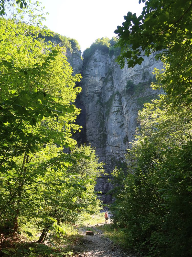 Weisse Brünnen