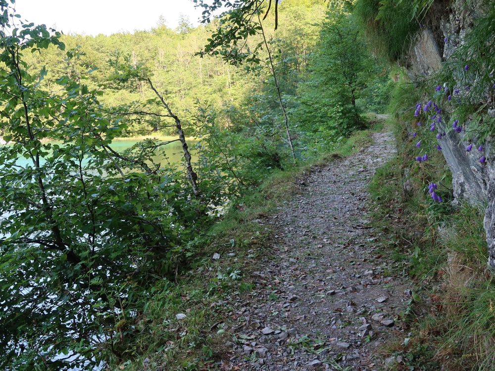 Uferweg am Klöntaler See