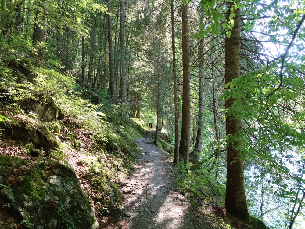 Uferweg am Klöntaler See