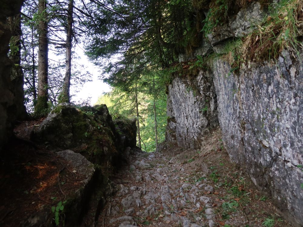 Uferweg am Klöntaler See