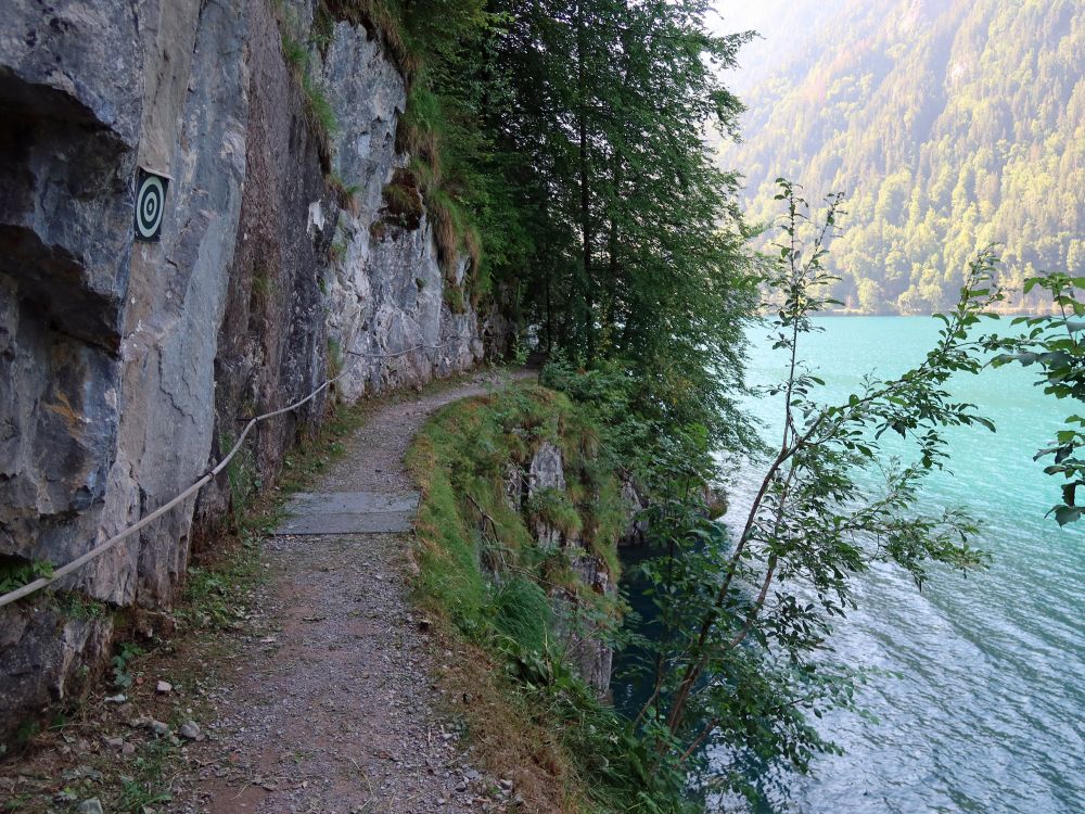 Uferweg am Klöntaler See mit Drahtseil