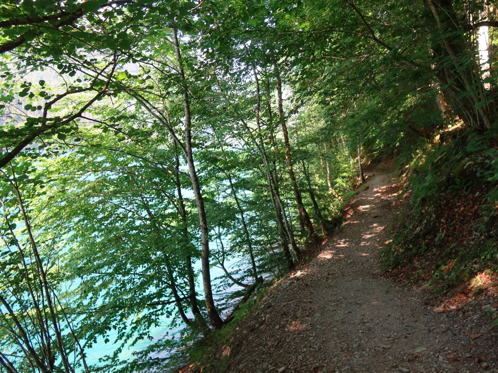 Uferweg am Klöntaler See