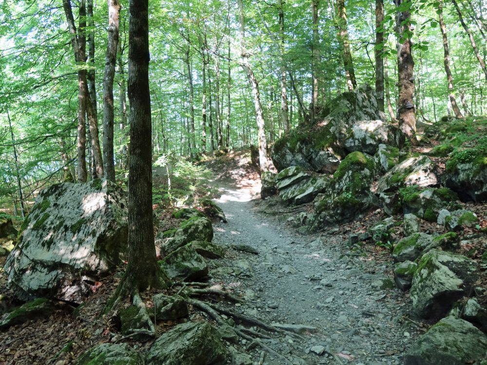 Waldweg