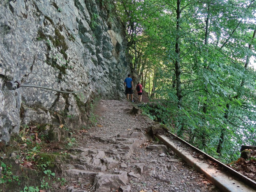 Uferweg am Klöntaler See