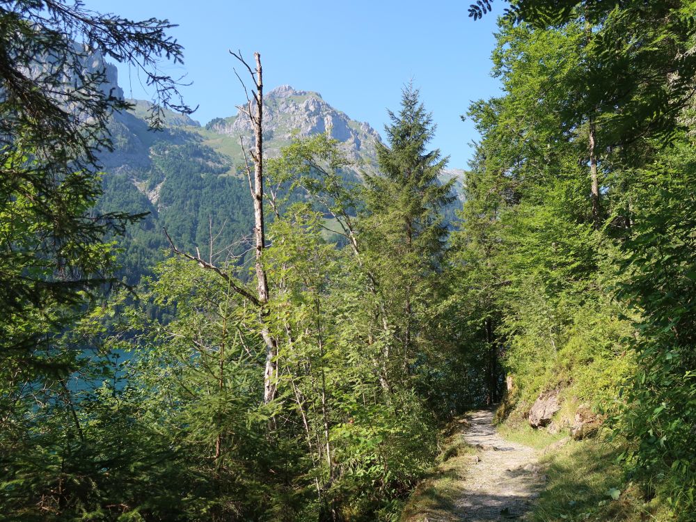 Uferweg am Klöntaler See