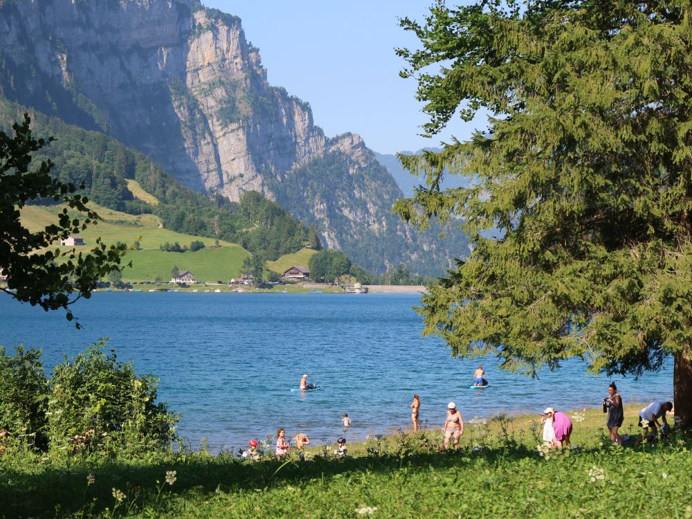 Badegäste am Seeufer und Blick Richtung Seerüti